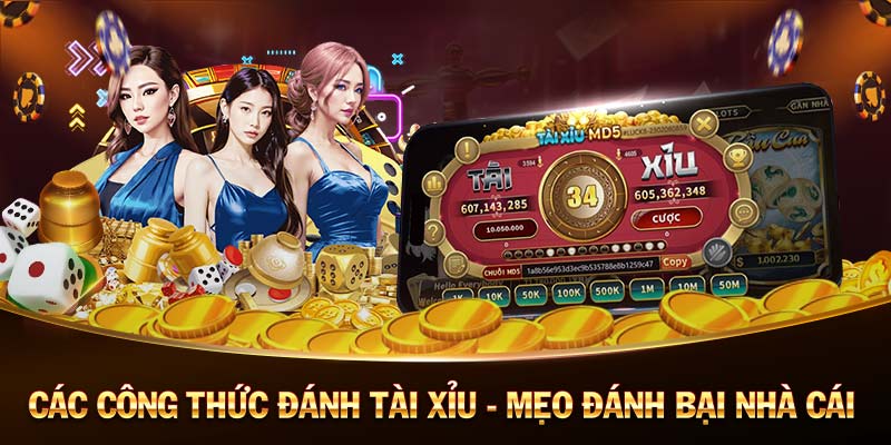 Loto188-Chinh phục sòng bạc trực tuyến và giành chiến thắng!